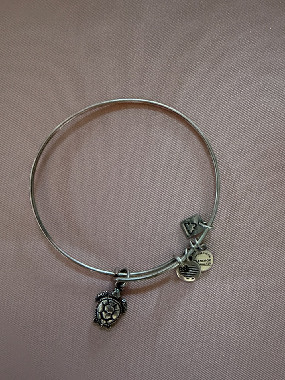 Alex and Ani Silver Turtle Charm Expandable Bangle Bracelet